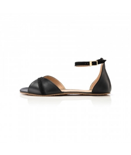 katalog-ii-22811.jpg