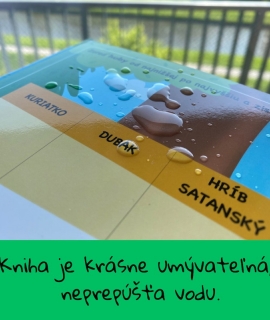 667AD986-D86B-4CA4-8779-BDEDB5BC6A02.jpg