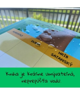 667AD986-D86B-4CA4-8779-BDEDB5BC6A02.jpg