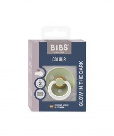 BIBS-Colour-okruhle-cumliky-z-prirodneho-kaucuku-1ks-obal.jpg