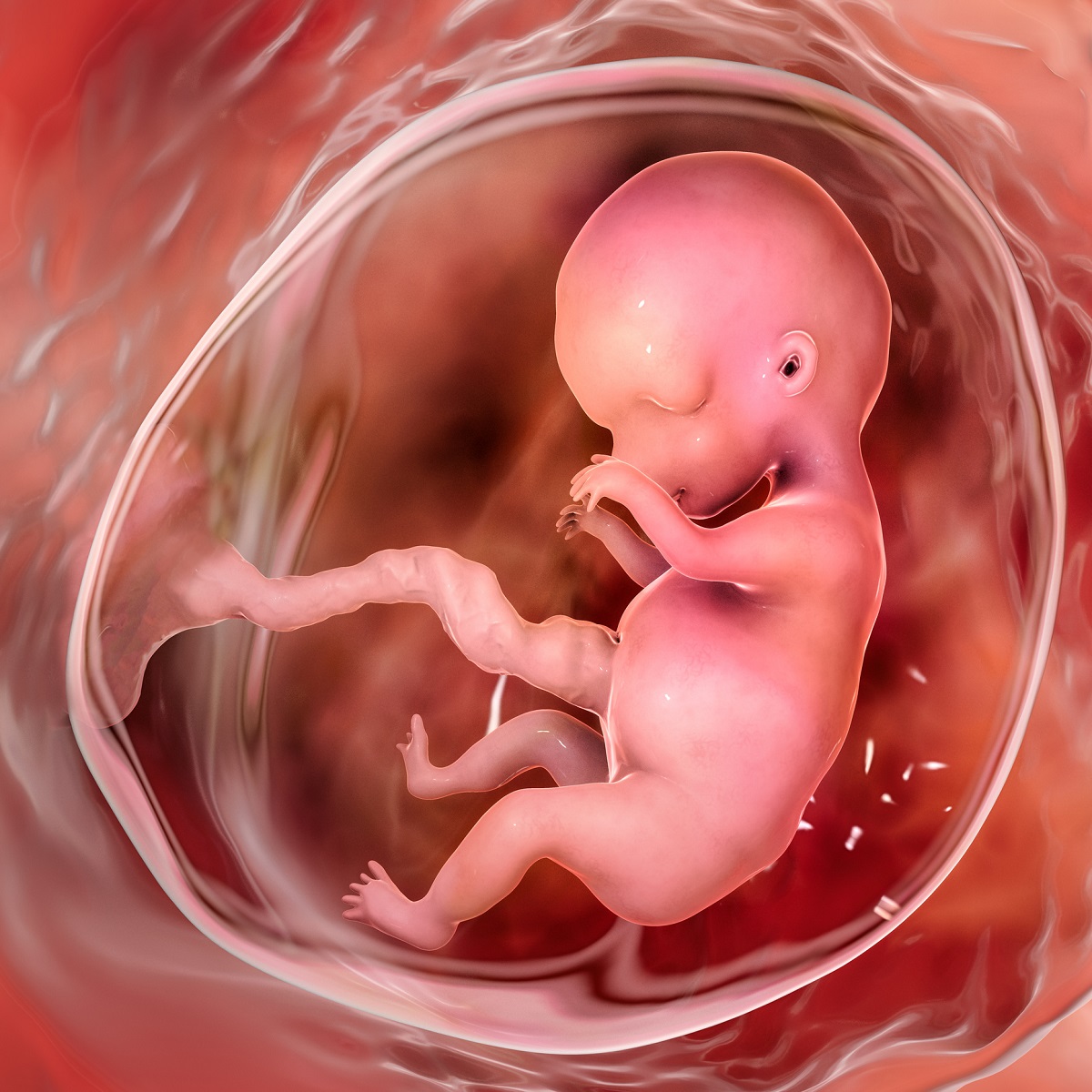 1641246597-embryo-9-tt.jpg