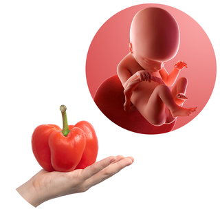 babo-paprika.png